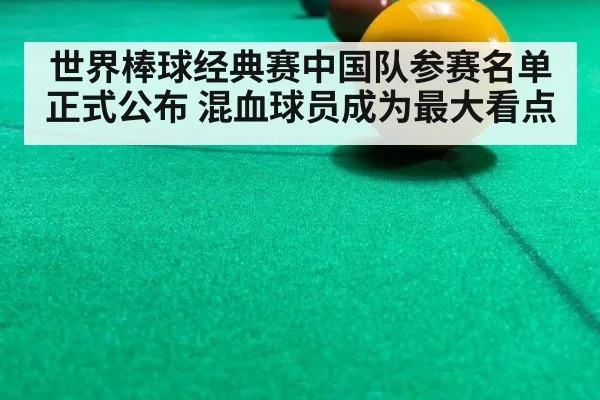 世界棒球经典赛中国队参赛名单正式公布 混血球员成为最大看点