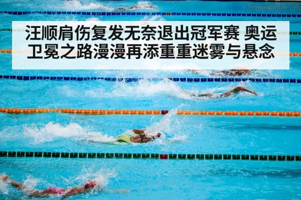 汪顺肩伤复发无奈退出冠军赛 奥运卫冕之路漫漫再添重重迷雾与悬念