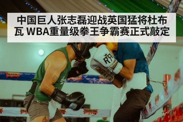 中国巨人张志磊迎战英国猛将杜布瓦 WBA重量级拳王争霸赛正式敲定